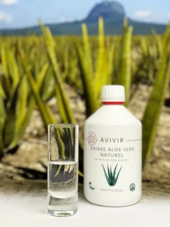 Aloe Vera Drik Naturel