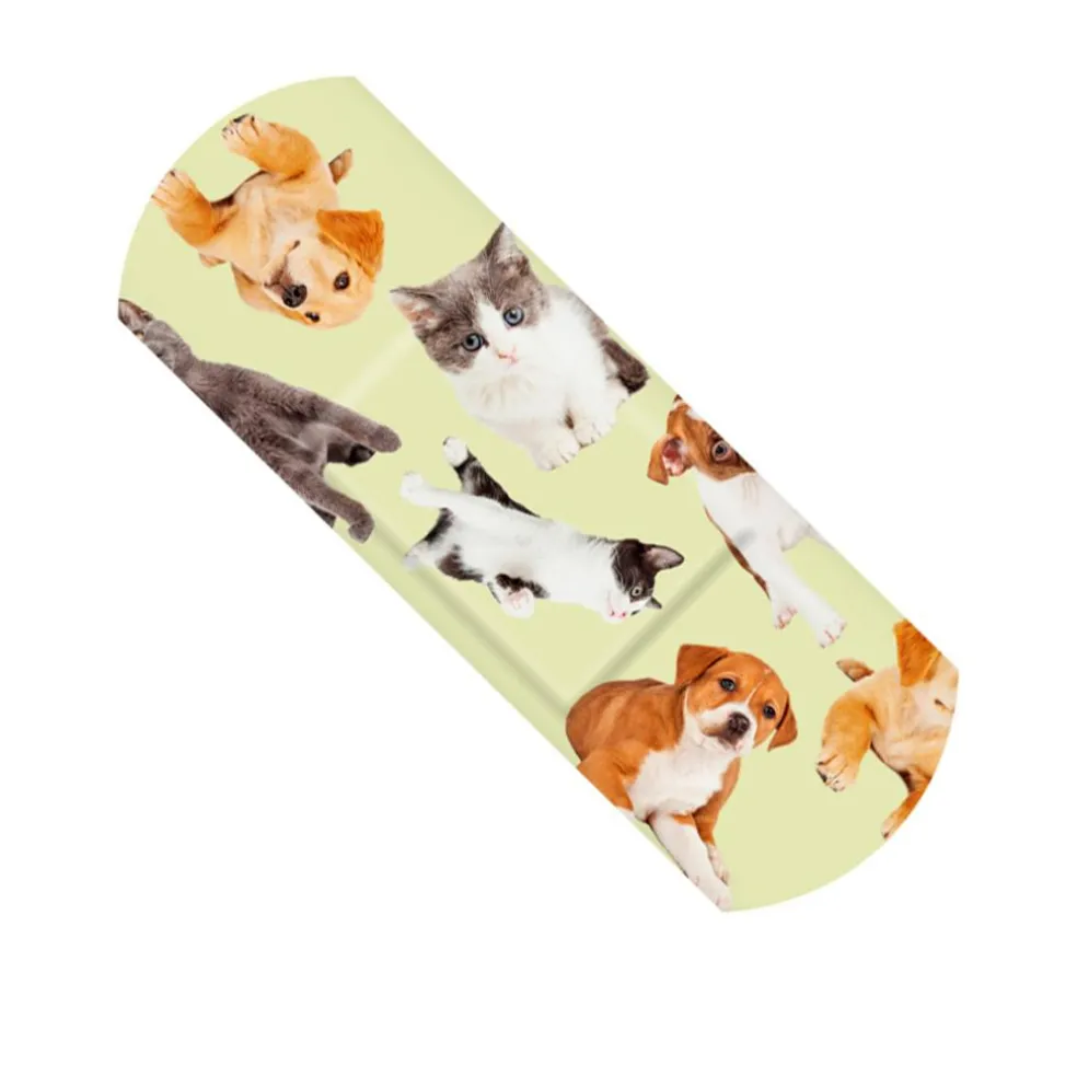 Animals