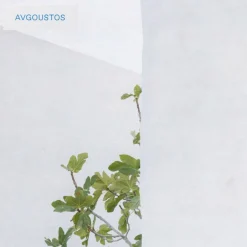 Avgoustos EdT
