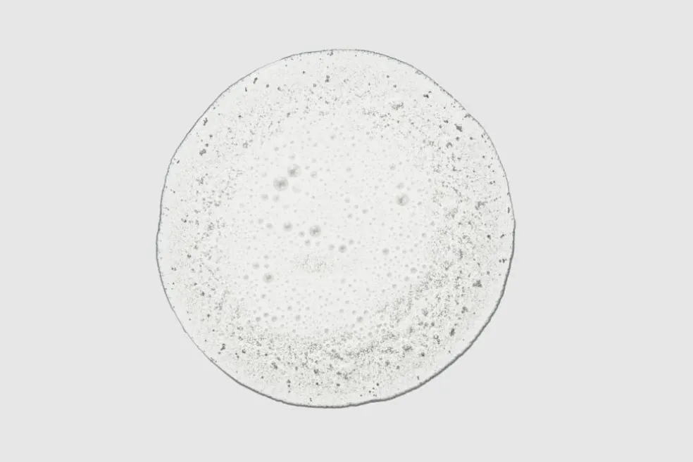 Baby Don't Cry® Shampoo