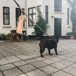 Beholder til Hundeposer