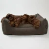 Billy Bouclé Hundeseng