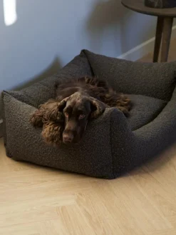 Billy Bouclé Hundeseng