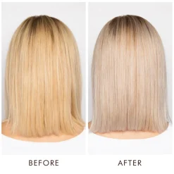 Blonde Perfecting Purple Shampoo
