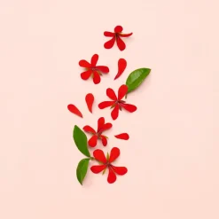 Bloom Eau de Parfum for Women