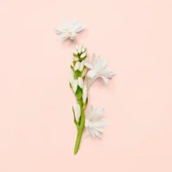 Bloom Eau de Parfum for Women
