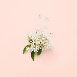 Bloom Eau de Parfum for Women