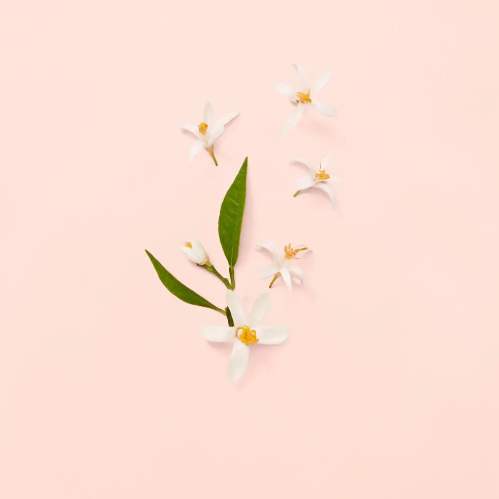 Bloom Eau de Toilette for Women