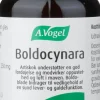 Boldocynara