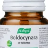 Boldocynara