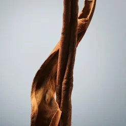 Bottled EdT