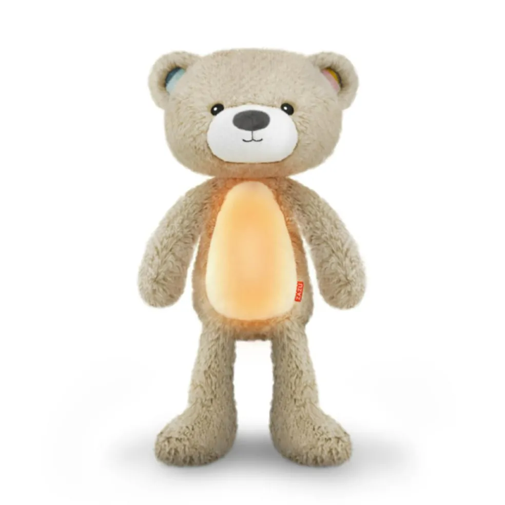 Brody the Bear Sleeptrainer