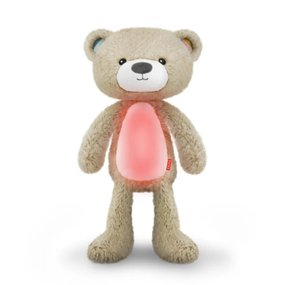 Brody the Bear Sleeptrainer