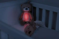 Brody the Bear Sleeptrainer