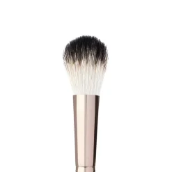 Brush