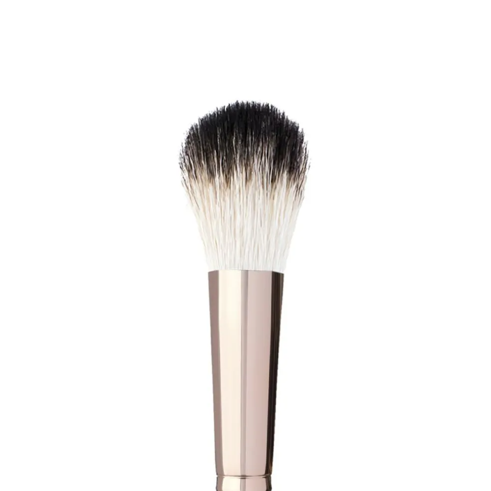 Brush