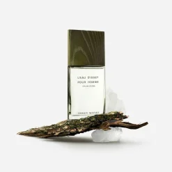 Cedar