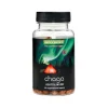Chaga