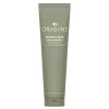 Checks and Balances Frothy Face Wash