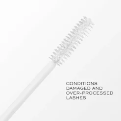 Cils Booster Mascarabase