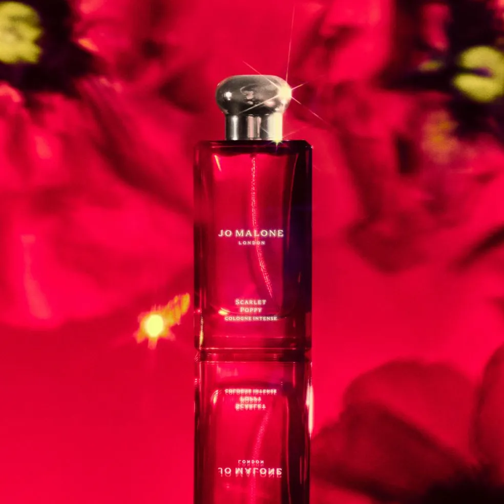 Cologne Intense Discovery Collection