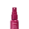 Color Control Leave-In Spray Light Treatment Travel