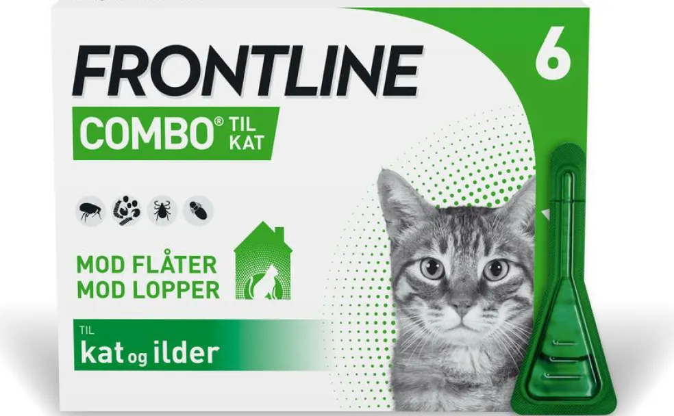 Combo Kat og Ilder