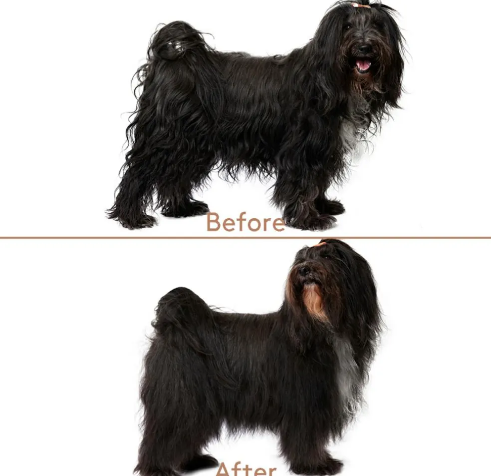 Cuddle+Care Hundeshampoo