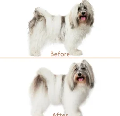 Cuddle+Care Hundeshampoo