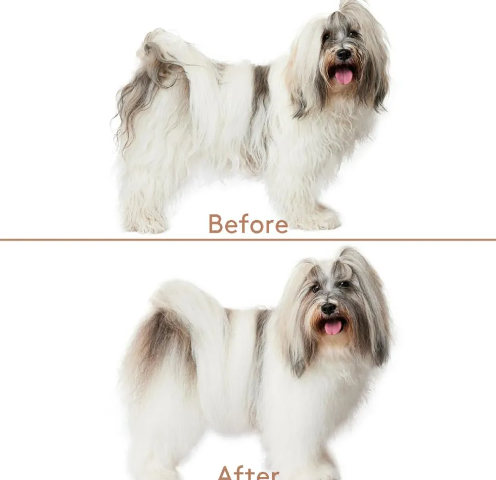 Cuddle+Care Hundeshampoo