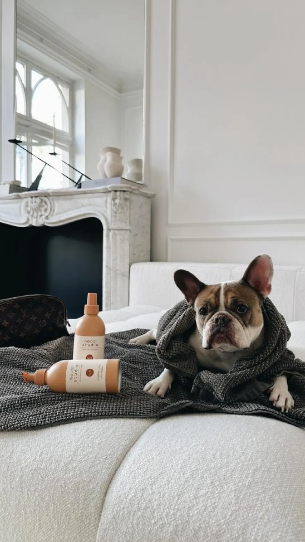 Cuddle+Care Hundeshampoo