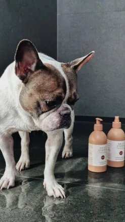 Cuddle+Care Hundeshampoo