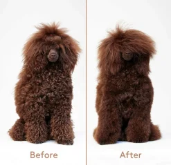 Cuddle+Care Hundeshampoo