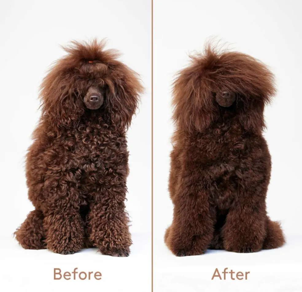 Cuddle+Care Hundeshampoo
