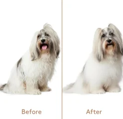 Cuddle+Care Shampoo & Refresh+Detangle Groomingspray Double-Pack