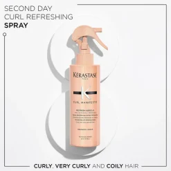 Curl Manifesto Refresh Absolu Leave-in