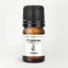 Cypress Essential Oil