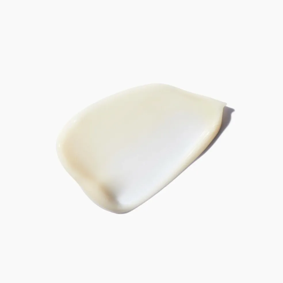 Densifique Fondant Densité Conditioner