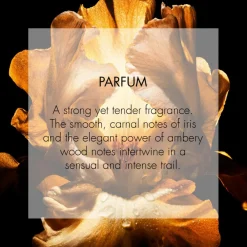DIOR Homme Parfum
