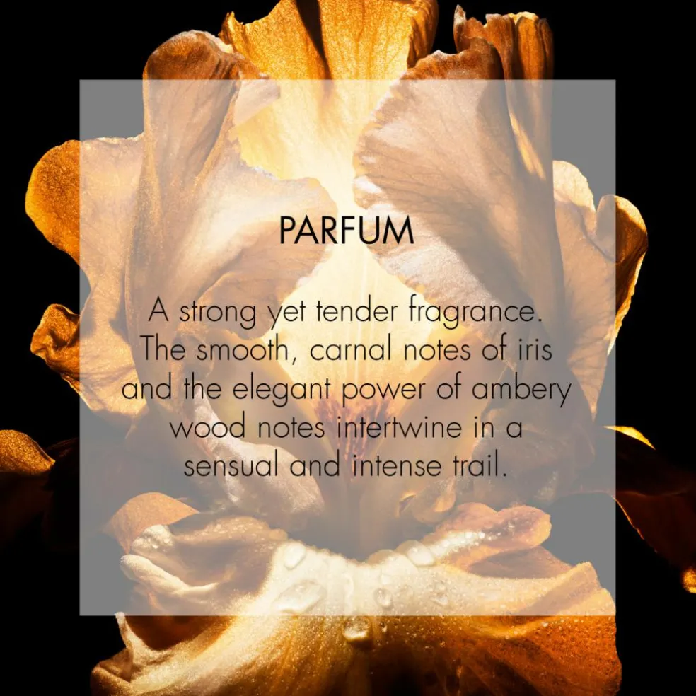 DIOR Homme Parfum