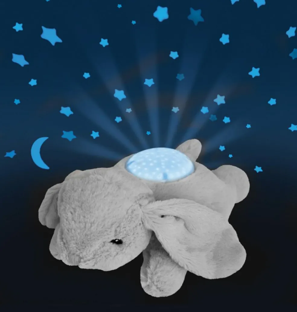 Dream Buddies