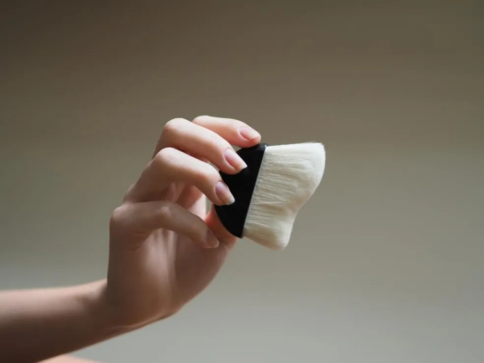 Dry Shampoo Brush