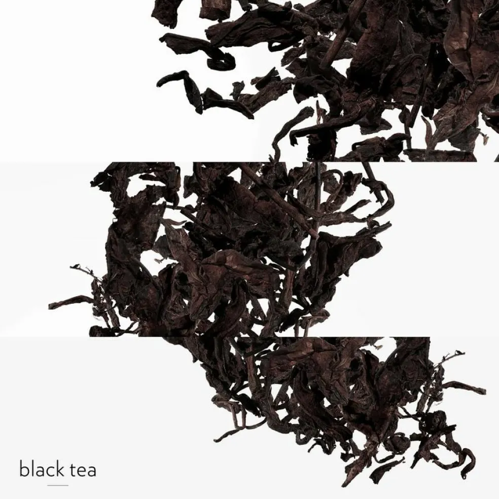 Eau de Citron Noir