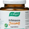 Echinacea Junior