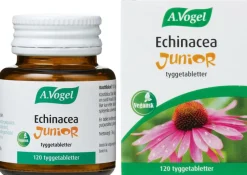 Echinacea Junior