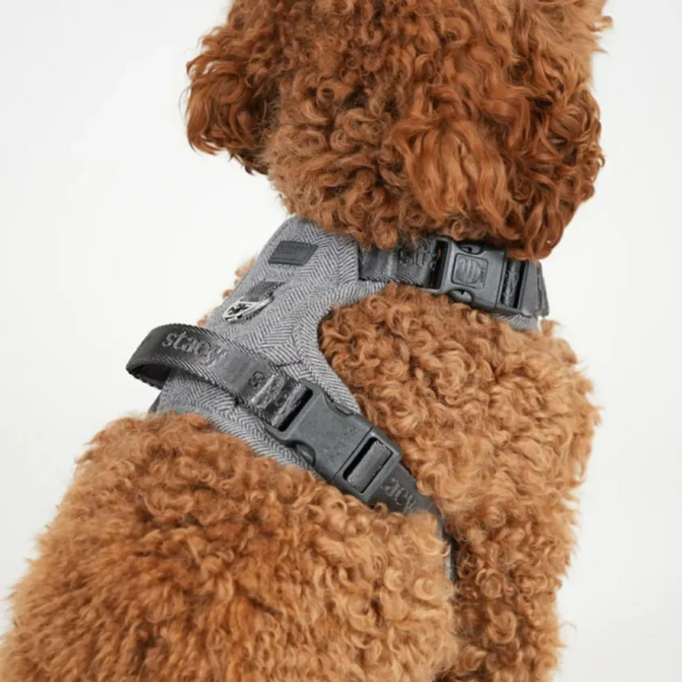 Elma Harness