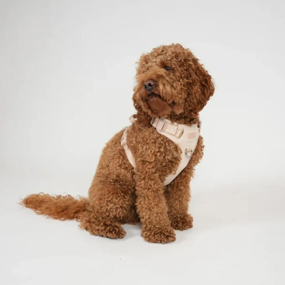 Elma Harness