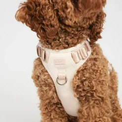 Elma Harness