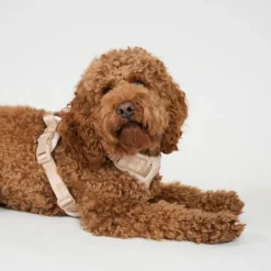 Elma Harness