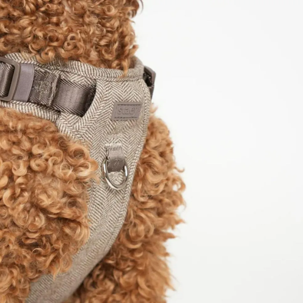 Elma Harness
